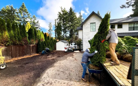 Residential Landscaping Edmonton: Complete Guide (Design, Cost & Modern Ideas)