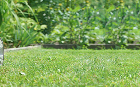 Reliable Garden Maintenance Services for a Healthy and Beautiful Outdoor Space