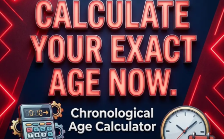 Chronological Age Calculator – Accurate & Instant Age Calculation