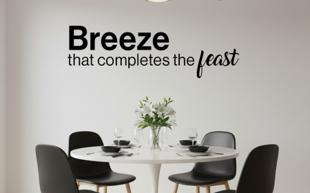 Leading Fans Company for Fancy Ceiling Fan Solutions