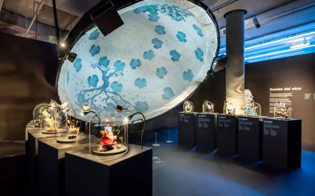 360 Projection Dome Solutions for Corporate Events and Festivals