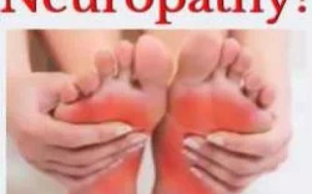 Fenton Chiropractor Delivering Gentle and Advanced Care