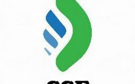 Prescription Drugs Online: Trends Driving Digital Pharmacy Growth