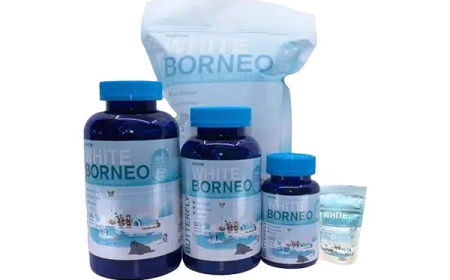 Where to Get White Borneo Kratom Disposable Vape in USA