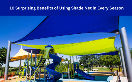 10 Surprising Benefits of Using Shade Net in Every Season