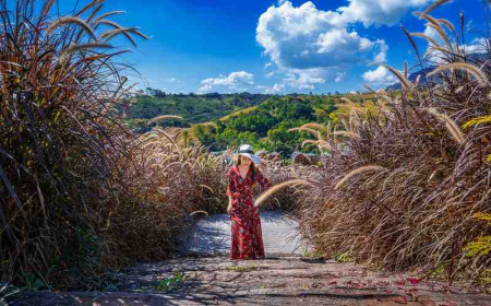 Experience Culture and Ancient Stories with Titicaca Travel Peru