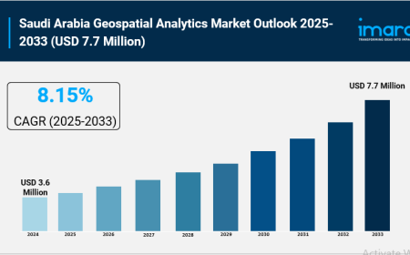 Saudi Arabia Geospatial Analytics Market Report, Share & Industry Analysis 2025-2033
