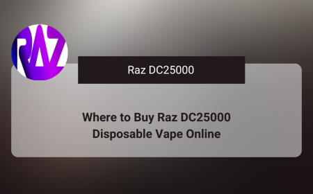 Where to Buy Raz DC25000 Disposable Vape Online