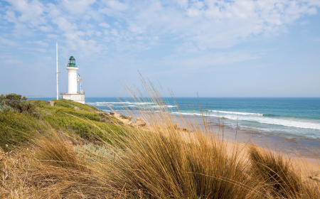 Investment Property Advice Geelong for Confident and Profitable Decisions