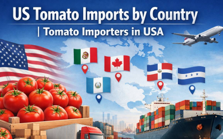 US Tomato Import Data 2025 | Tomato Buyers in USA