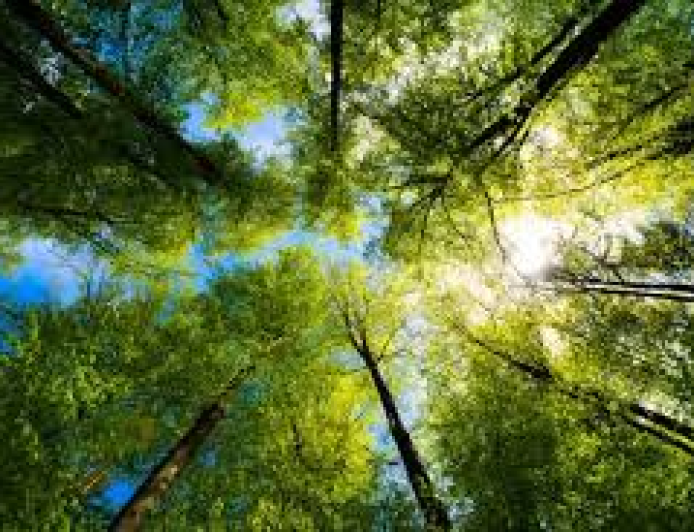 Why Nations and Businesses Are Rethinking Data Control