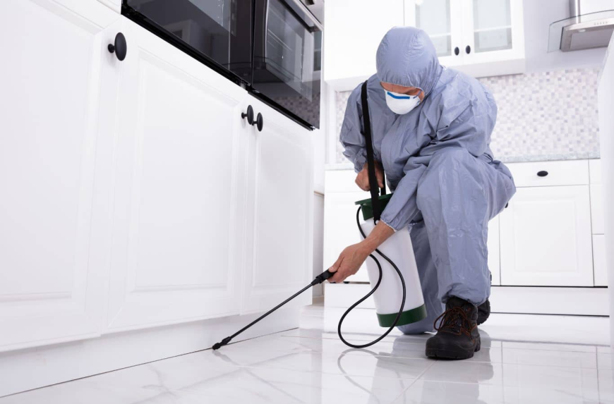 Pest Control Services in Spokane, Washington: A Complete Homeowner’s Guide