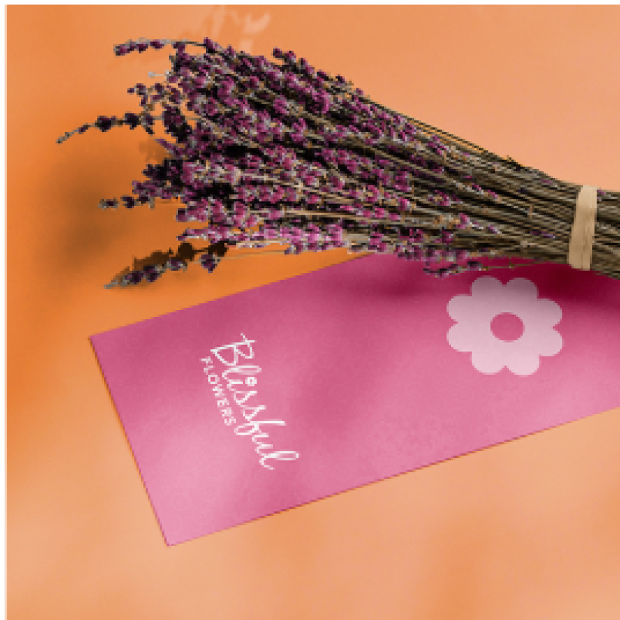 Pitch Deck Design in Dubai