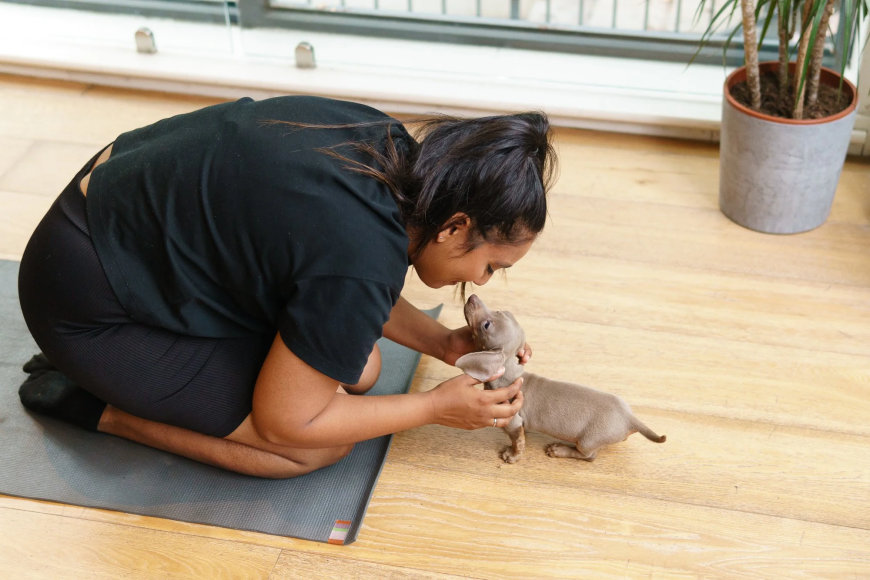 How Puppy Yoga Supports the Development of Friendly and Confident Dogs