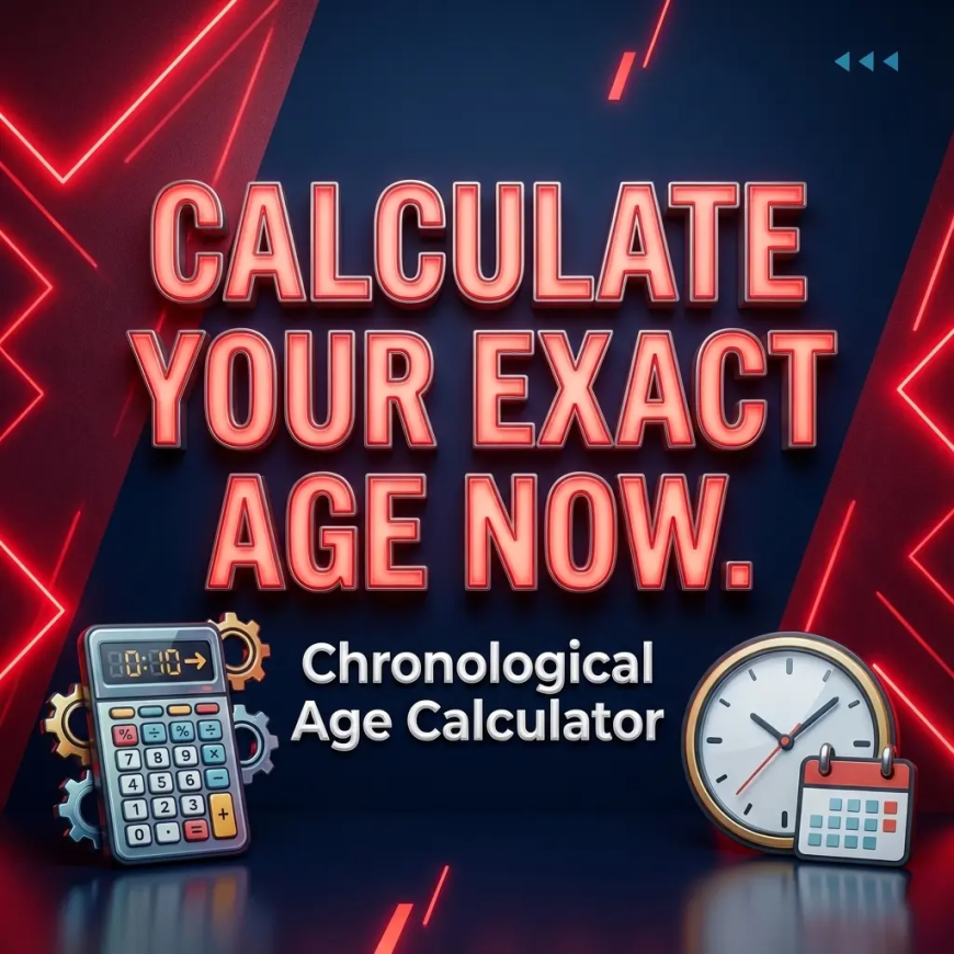 Chronological Age Calculator – Accurate & Instant Age Calculation