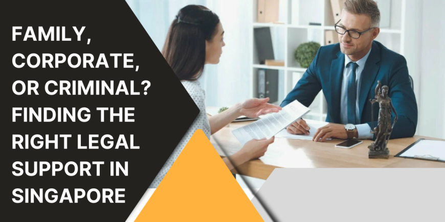 Family, Corporate, or Criminal? Finding the Right Legal Support in Singapore