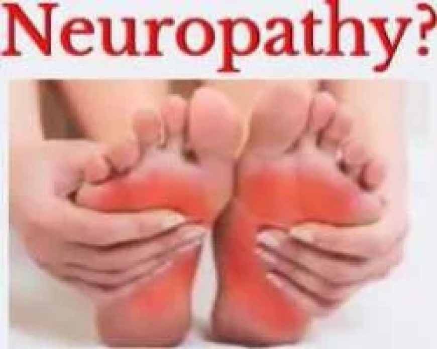 Fenton Chiropractor Delivering Gentle and Advanced Care