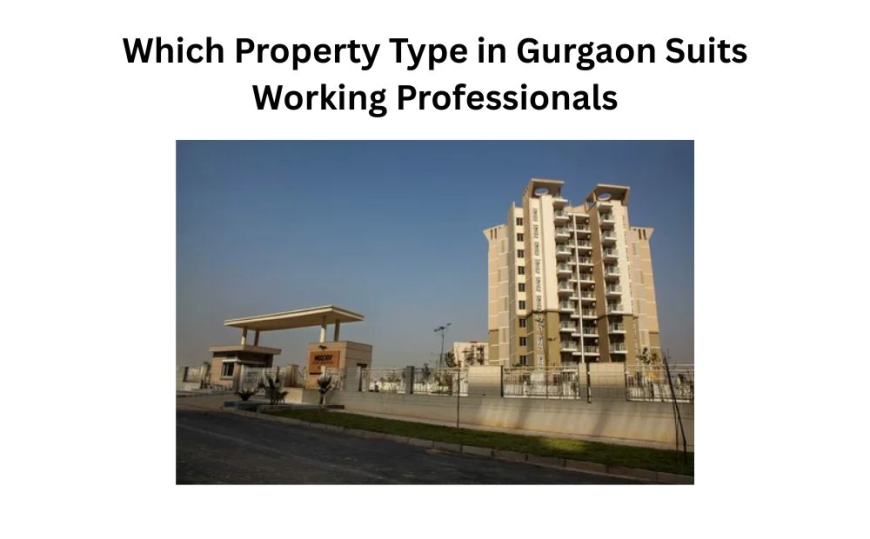 Which Property Type in Gurgaon Suits Working Professionals