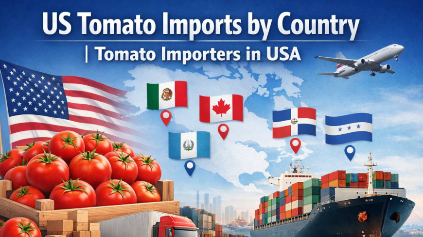 US Tomato Import Data 2025 | Tomato Buyers in USA