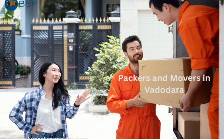 Best Packers and Movers in Vadodara for Safe Moves