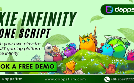 How to Capture the Next Wave of P2E with Axie Infinity Clone Script?