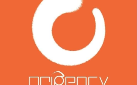 Why Hiring a Marketing Agency in Pakistan Is Essential for Business Growth