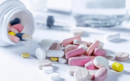 Pharma Wizard: Regulatory Compliance for Traditional Herbal Remedies