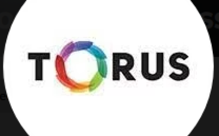 Masticating Juicer Australia