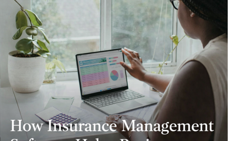 How Insurance Management Software Helps Businesses
