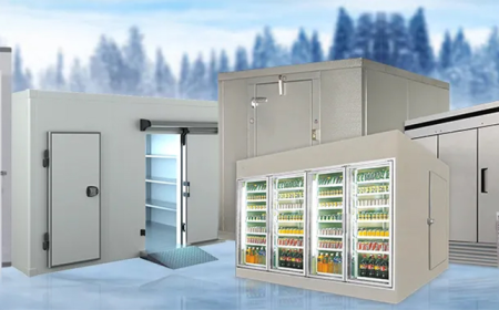 Choosing the Best Cold Storage Room Manufacturers for Your Business