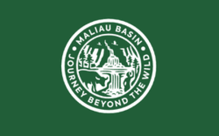 Discover Nature and Wildlife Adventures in Borneo Rainforest Trails