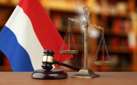The Secret Advantage of Partnering with Law Firm Networks in the Netherlands