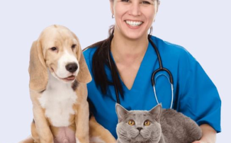 Is TPLO surgery the Best Fix for Your Dog's Knee?