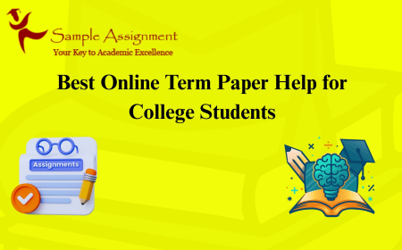 Best Online Term Paper Help for College Students