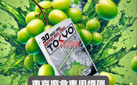 ILIA 皮革主機：奢華品味與智能科技的巔峰之作