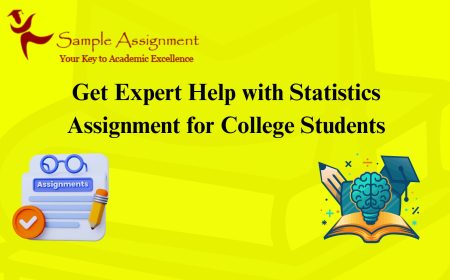 Get Expert Help with Statistics Assignment for College Students