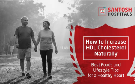 How to Increase HDL Cholesterol Naturally: Best Foods and Lifestyle Tips for a Healthy Heart