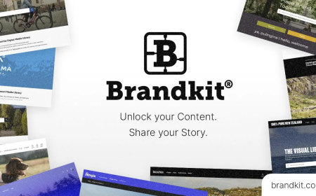 DAM Software: Transforming How Brands Store and Share Digital Content