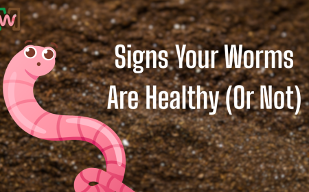 Signs Your Worms Are Healthy: A Complete Guide for Thriving Worm Bins