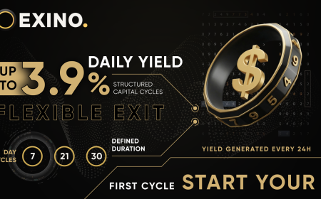 EXINO Introduces a Cycle-Based Digital Asset Participation Platform