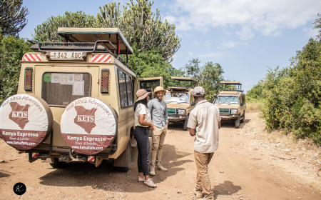 Safari First or Beach First? How to Plan Your Kenya Travel Route