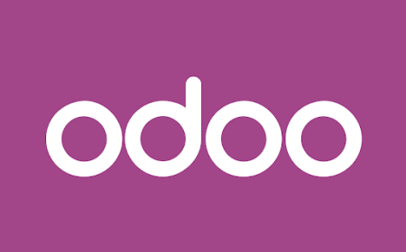 Best Odoo Partner in India: How to Choose the Right One