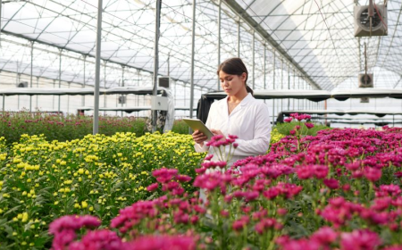 How Greenhouse Management Software Helps Growers Plan Production Around Actual Availability