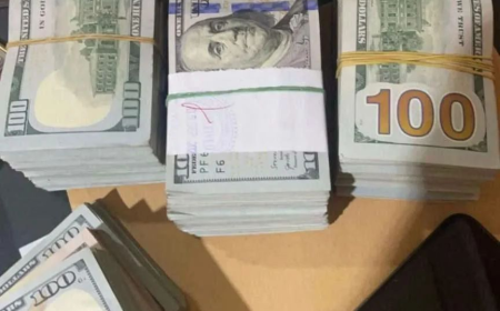 fake $100 dollar bill