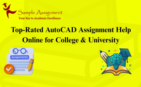 Top-Rated AutoCAD Assignment Help Online for College & University