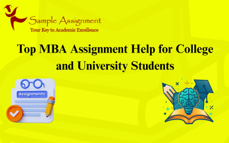 Top MBA Assignment Help for College and University Students