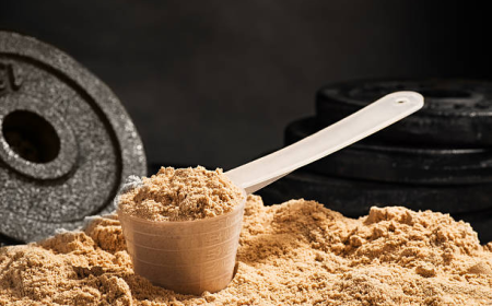 Why the Whey Protein Market Is Growing Fast Trends Drivers and Future Outlook