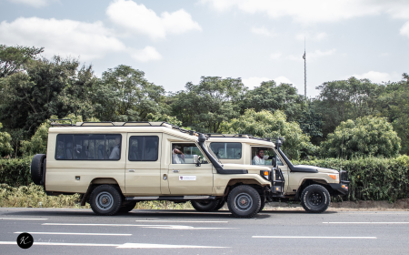 Best Safari Tours in East Africa: Top Destinations Ranked by Experience