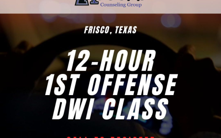 Complete Your Texas-Approved 12-Hour DWI Education Program Online: A Convenient Guide