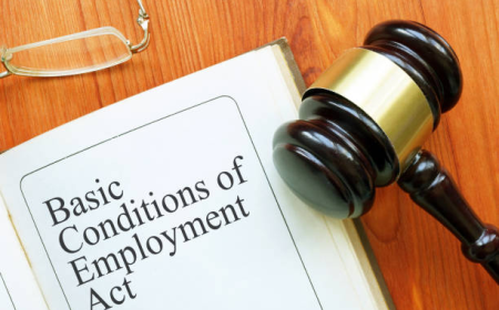 How to Create Employment Contracts for Domestic Workers That Are Legally Compliant